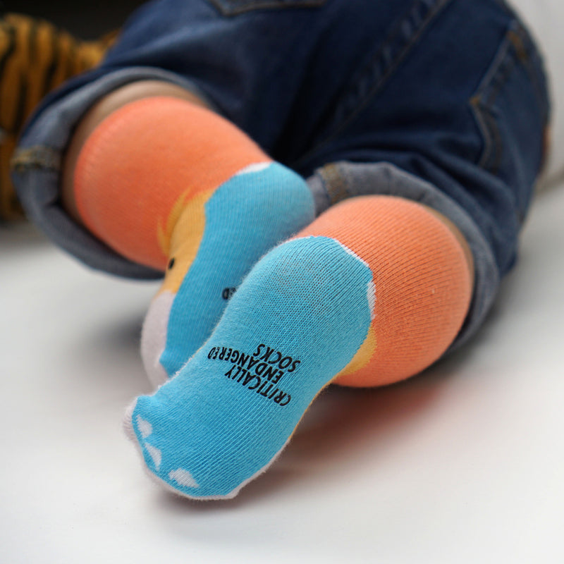 Critically Endangered Baby Socks - 4 pack