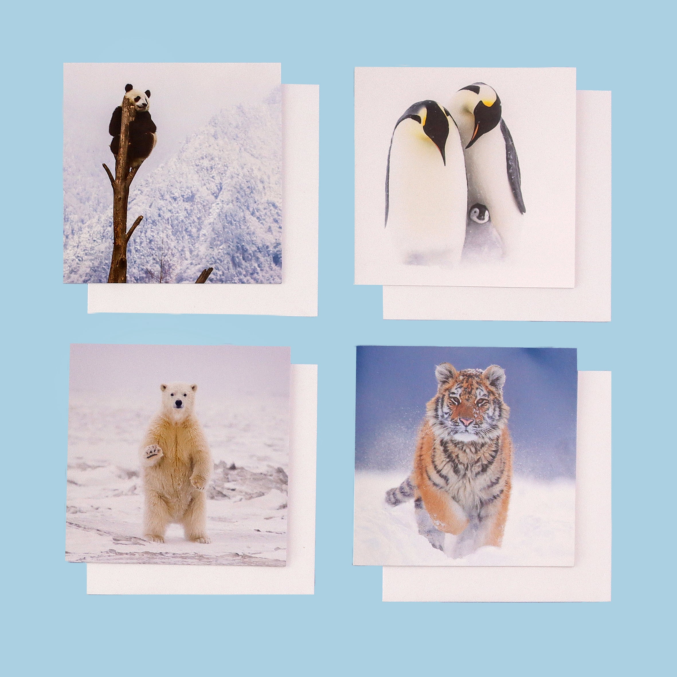 Snowy Animals Christmas Cards (multipack of 8)