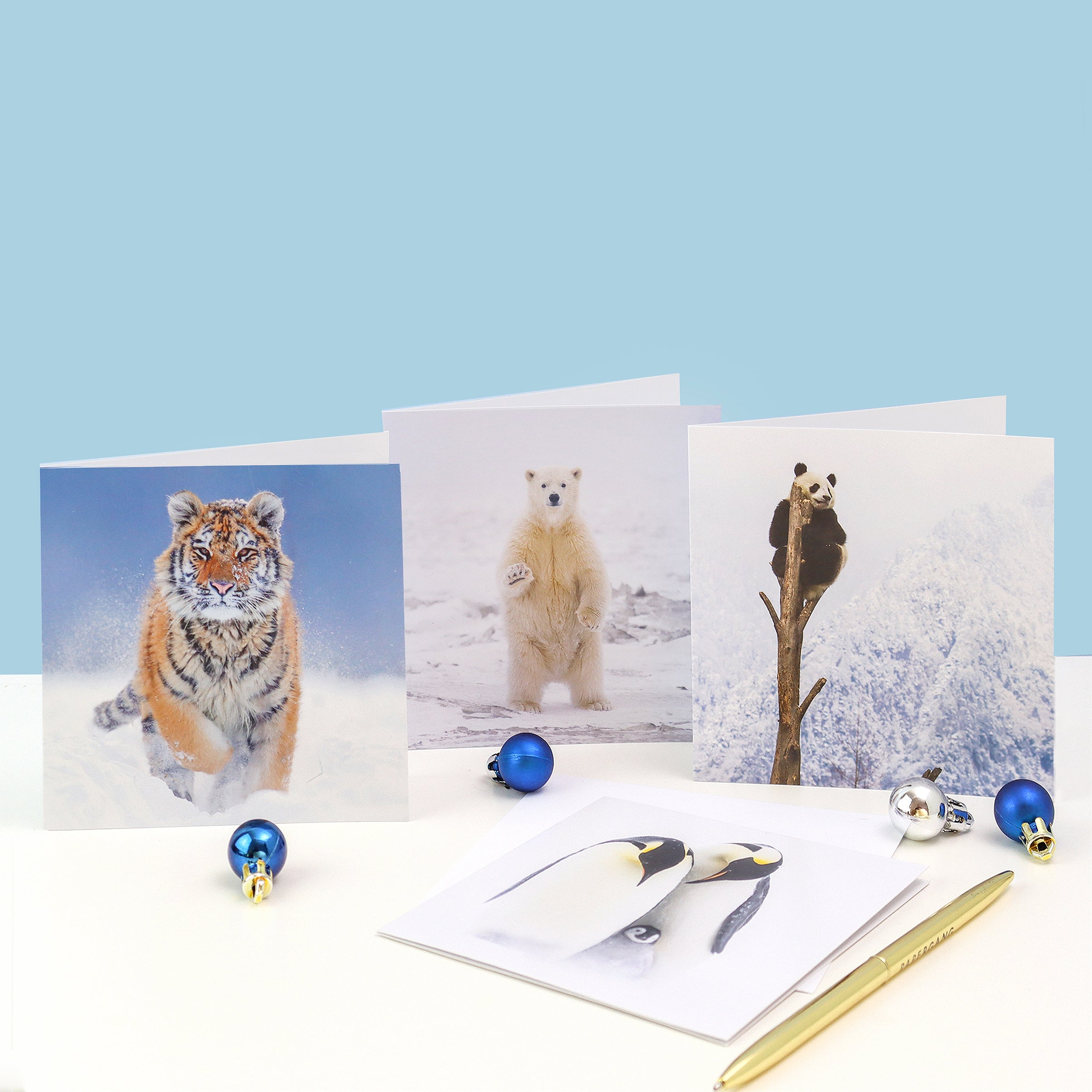 Snowy Animals Christmas Cards (multipack of 8)