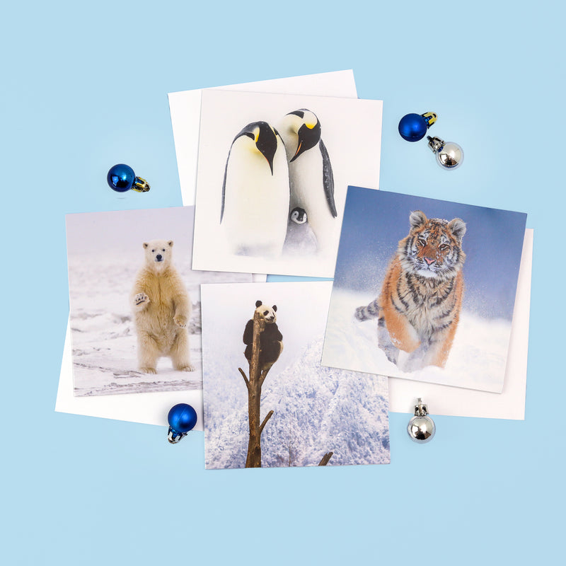 Snowy Animals Christmas Cards (multipack of 8)