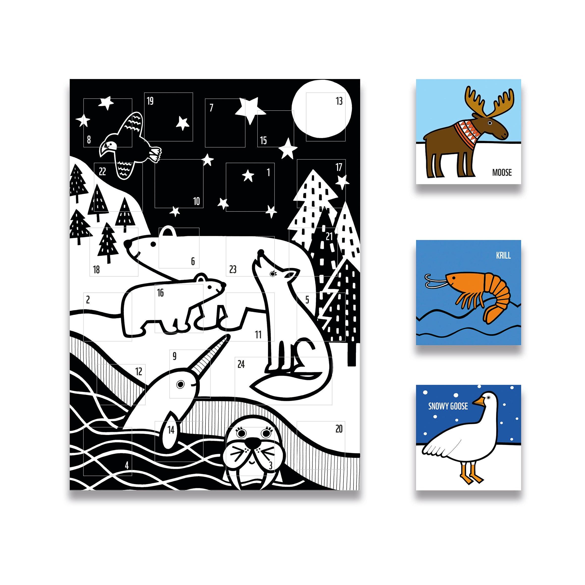 WWF Advent Calendar