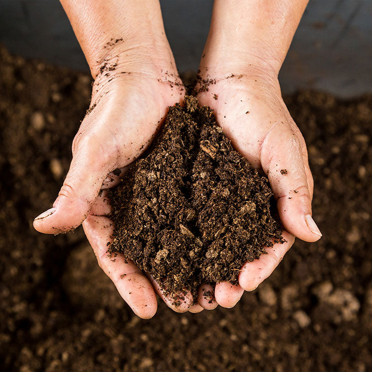 Hands holding rich compost soil